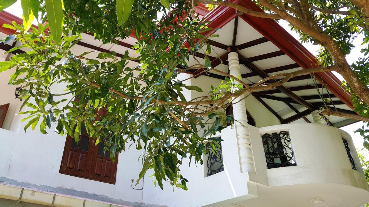 New Chili Lodge Mirissa Ngoại thất bức ảnh