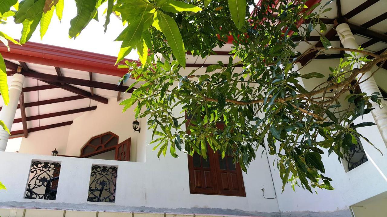 New Chili Lodge Mirissa Ngoại thất bức ảnh